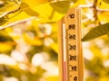 Isolated Thermometer making 20 degrees celsius temperature in Autumn season